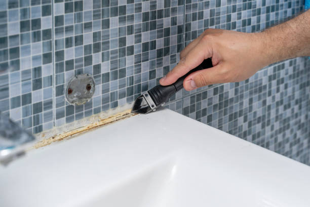 Best Home Mold Removal  in Glendale, CA