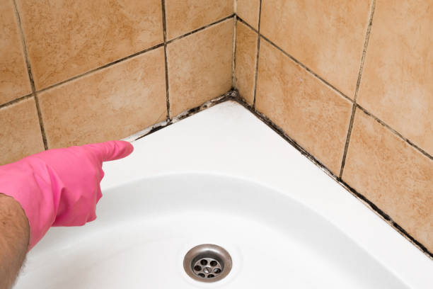 Best Mold Testing  in Glendale, CA